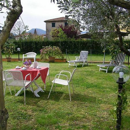 Triolivo B&B Lucca Exterior photo