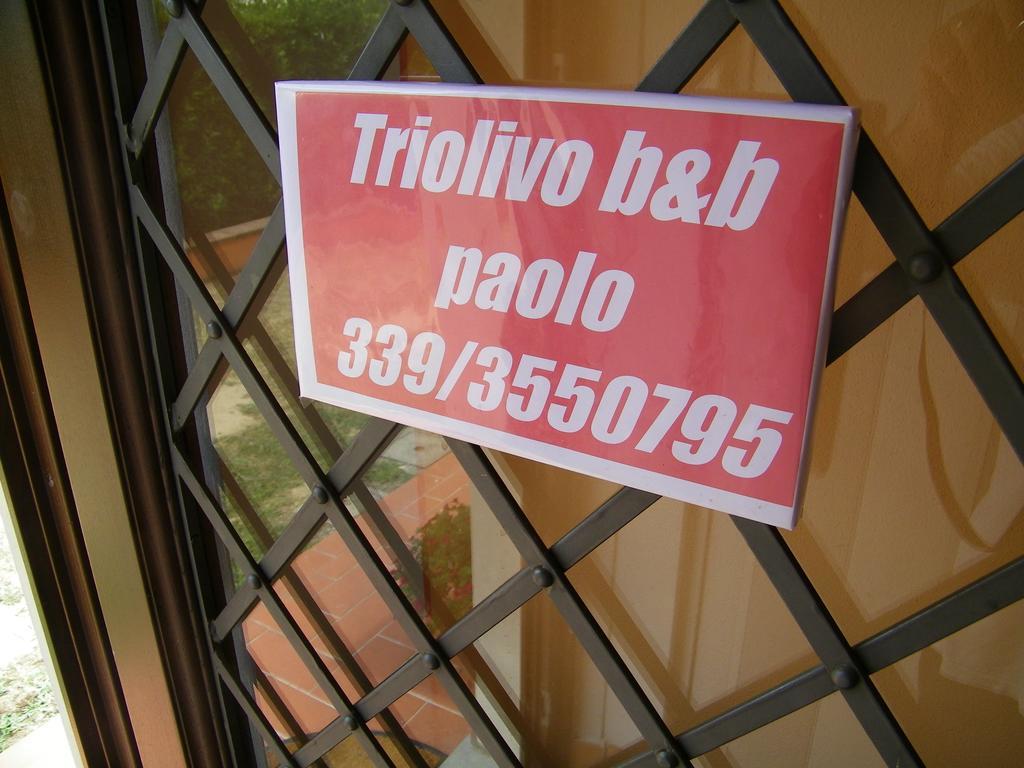 Triolivo B&B Lucca Exterior photo